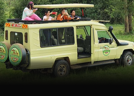 trevor tour safaris